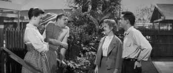 No Down Payment screenshot 3