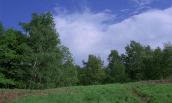 Scars of Dracula screenshot 1