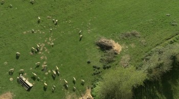 Kittenhood screenshot 1