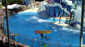 The Cove screenshot 1