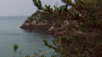 The Cove screenshot 2