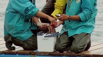 The Cove screenshot 3