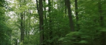 A Good American screenshot 2