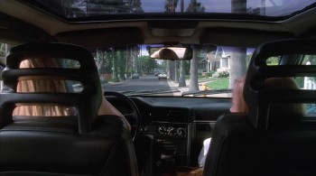 White Oleander screenshot 3