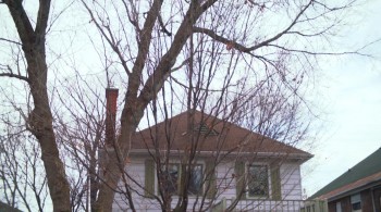 Fugitive at 17 screenshot 1