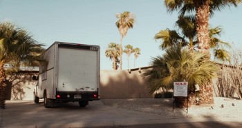 Palm Swings screenshot 1