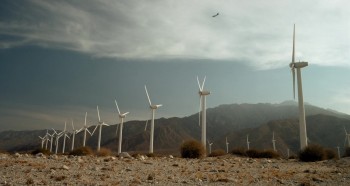 Palm Swings screenshot 2