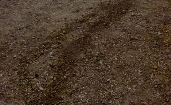 Requiem for a Vampire screenshot 2