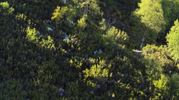 A Thousand Days of Solitude screenshot 3