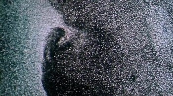 Death Laid an Egg screenshot 1