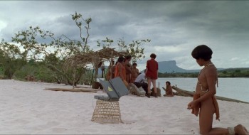 Jungle 2 Jungle screenshot 1