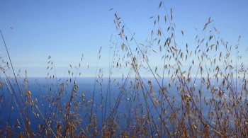 In Pursuit of Silence screenshot 3