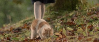 The Traveler screenshot 1