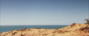 The Honey Killer screenshot 3