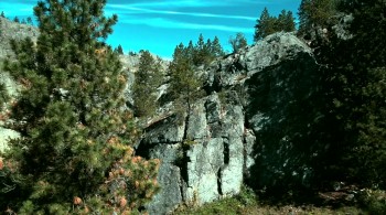 Single AF screenshot 1