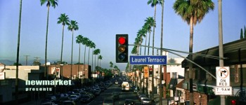 The Mexican screenshot 2