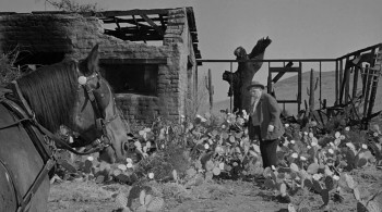 The Man Who Shot Liberty Valance screenshot 3