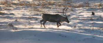 Us and Them screenshot 2