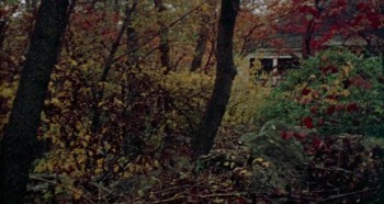 The Last House on the Left screenshot 2