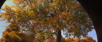 Duck Duck Goose screenshot 1