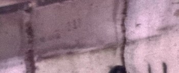 Damascus Cover screenshot 1