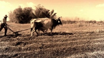 Off the Menu screenshot 1