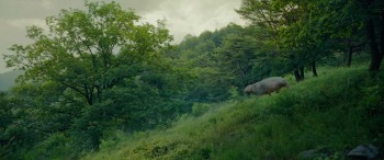 Okja screenshot 2