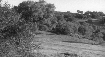 Man with the Gun screenshot 1