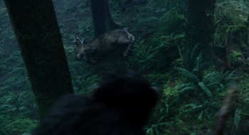 Dawn of the Planet of the Apes screenshot 3