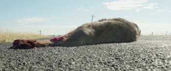 The Second screenshot 3