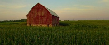 The Miracle Season screenshot 3