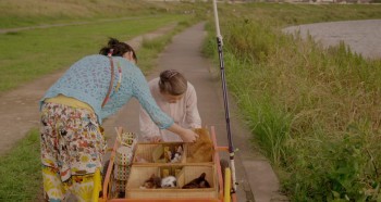 Rent-a-Cat screenshot 2