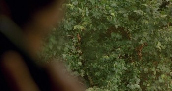 Barking Dogs Never Bite screenshot 2