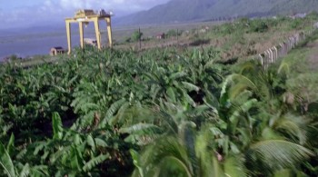 Zombie 3 screenshot 3