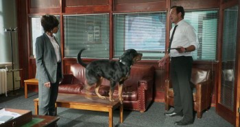 Show Dogs screenshot 1