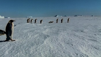 March of the Penguins screenshot 1