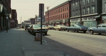 The Effect of Gamma Rays on Man-in-the-Moon Marigolds screenshot 1