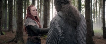 Viking Destiny screenshot 2