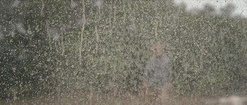 Time Trap screenshot 1