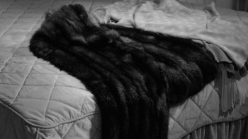 Dead Ringer screenshot 1