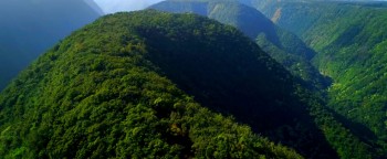 Running for Grace screenshot 1