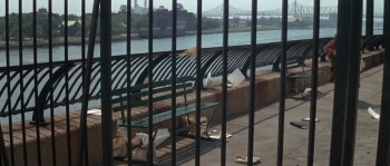 The World of Henry Orient screenshot 2