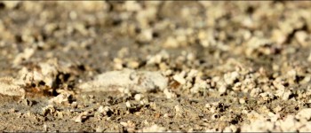 Dead Sea screenshot 1