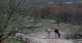 Enter the Devil screenshot 1