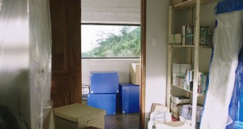 The Mimic screenshot 3