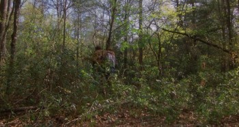 A Breed Apart screenshot 1