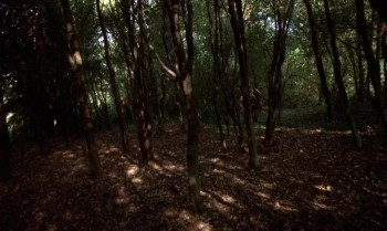 Demons of the Mind screenshot 2