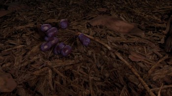 Over the Hedge screenshot 2