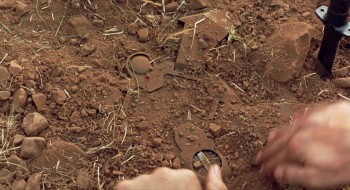 Sweepers screenshot 1