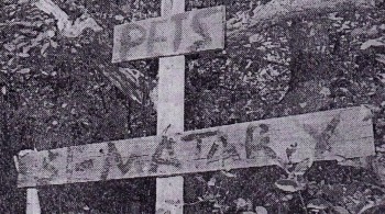 Unearthed & Untold: The Path to Pet Sematary screenshot 1